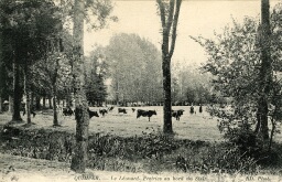 /medias/customer_2/NUMERISATION_2025/complément 4 Fi portail 2025/4_Fi_1195_jpg_/0_0.jpg